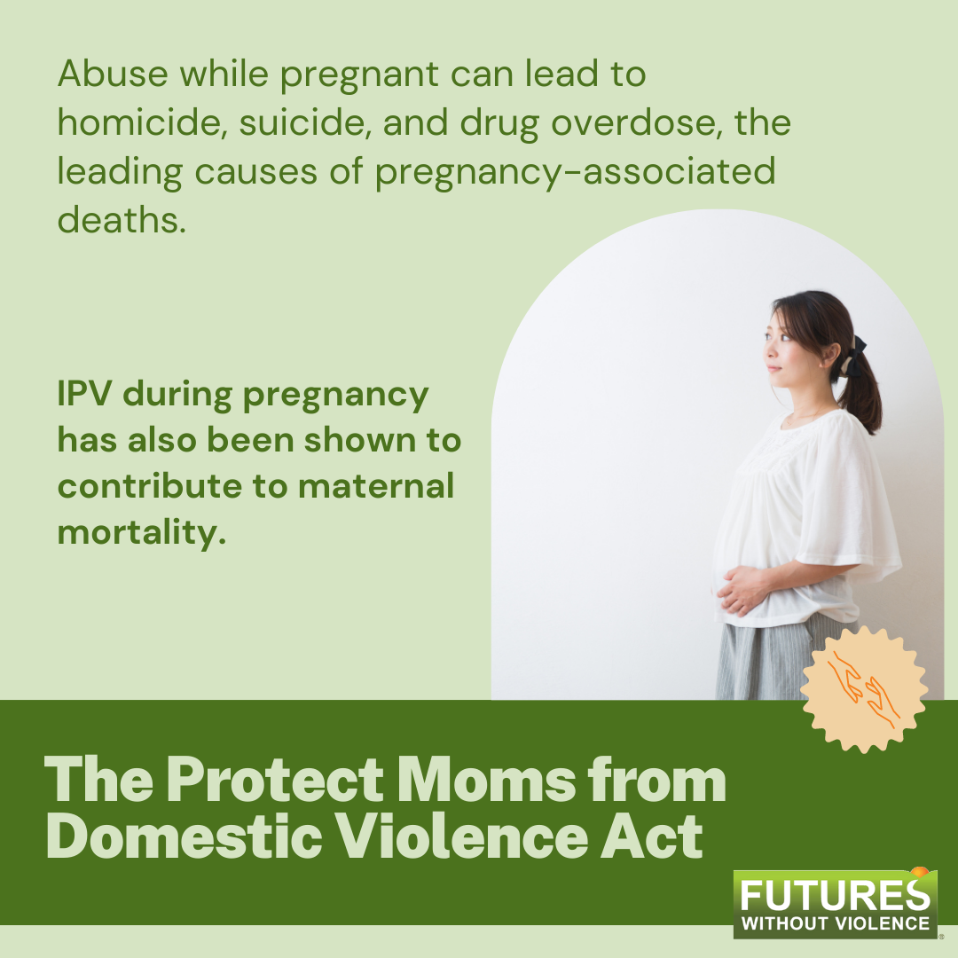 protect-moms-from-dv-act-instagram-1